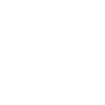 nimble_asset_icon-white